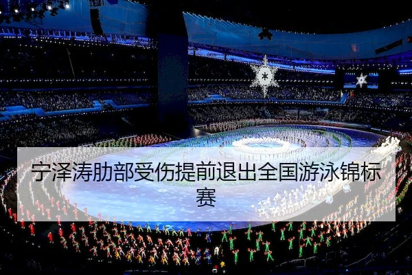ning-ze-tao-le-bu-shou-shang-ti-qian-tui-chu-quan-guo-you-yong-jin-biao-sai-2-667.jpg